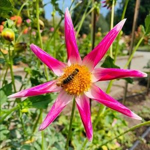 Meet your Posher, Lovely